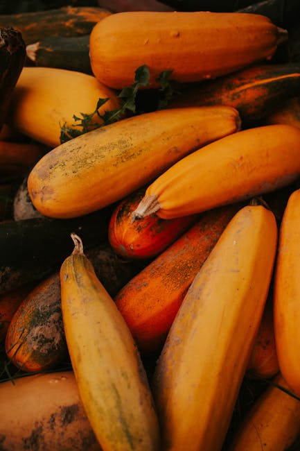 Squash Zucchini ORG 12ct