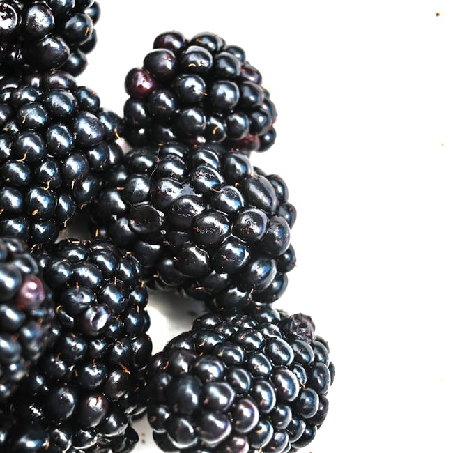 Blackberries ORG 6oz / 12ct