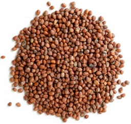Radish Seed