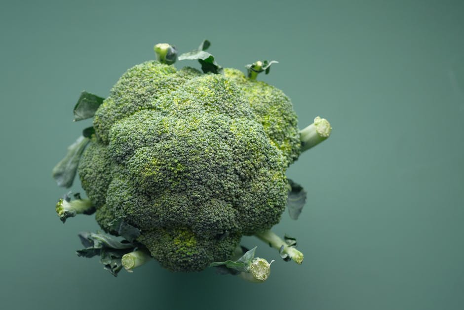 Fresh Broccoli Micro Greens 2oz