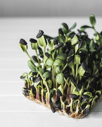 Fresh Superfood Micro Greens 2oz