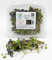 Fresh Superfood Micro Greens 