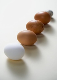 Organic Free Range Eggs 18 ct