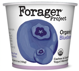 Organic Cashew Yogurt 