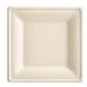 Plant Fiber Square Plate
