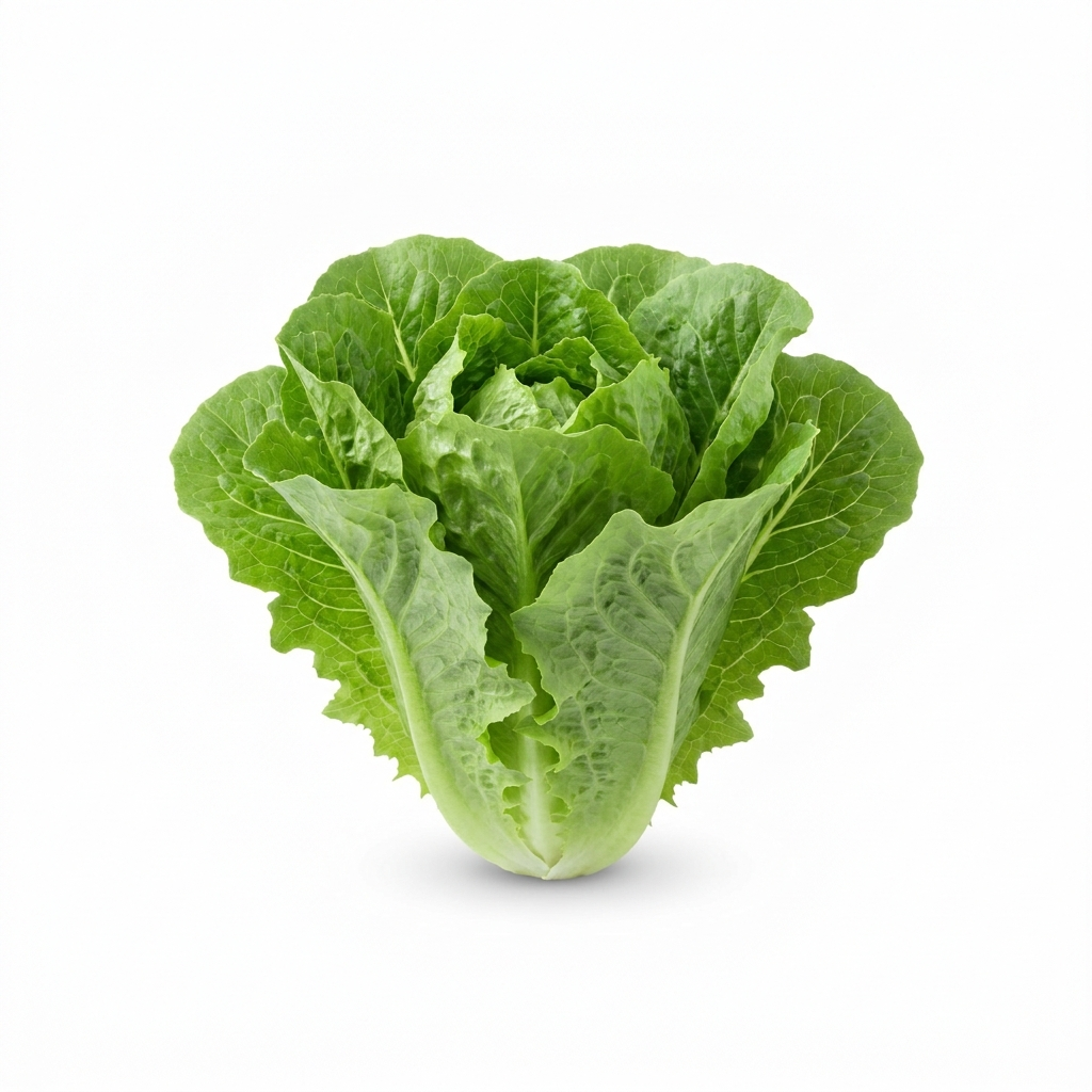 Romaine