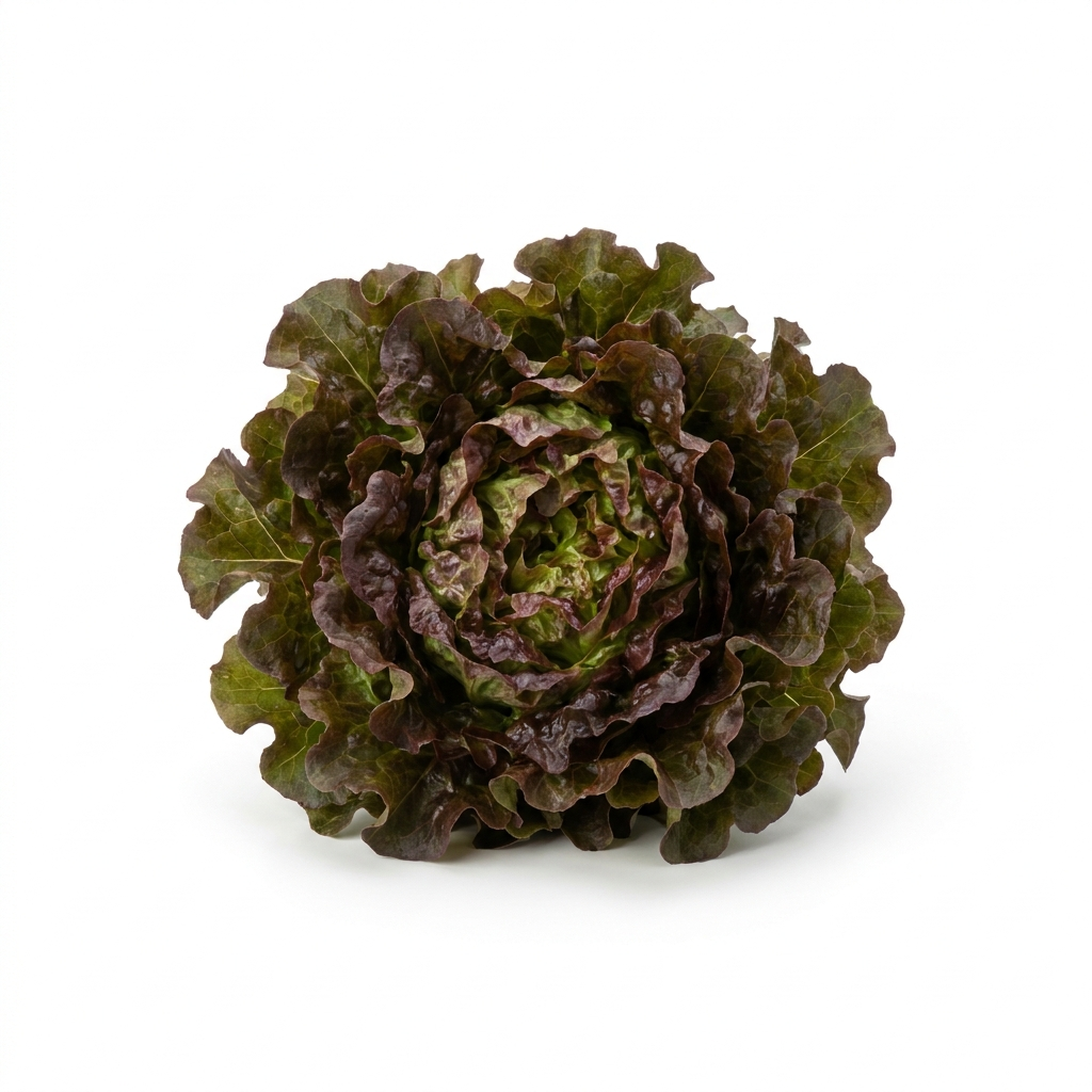 Organic Red Leaf Lettuce