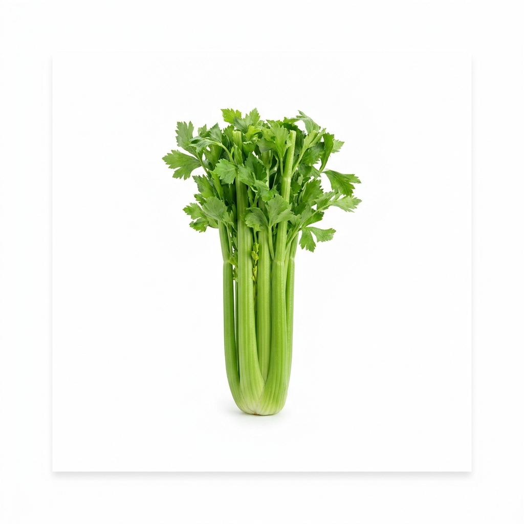 Celery