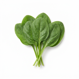Baby Spinach