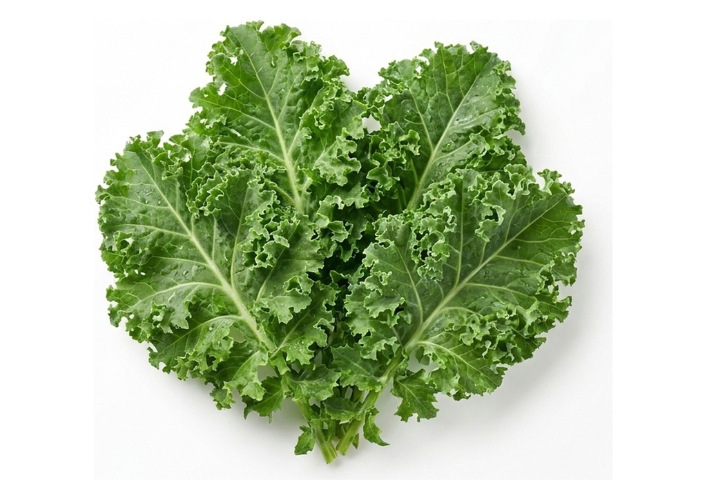 Kale - Case Only, 24 Count