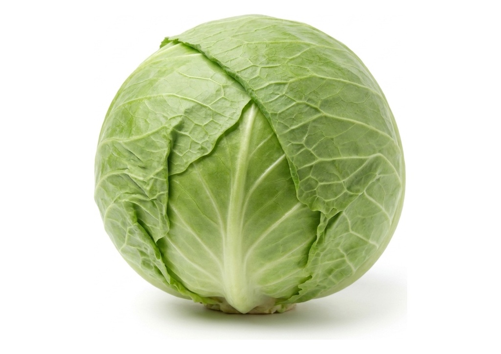 Green Cabbage