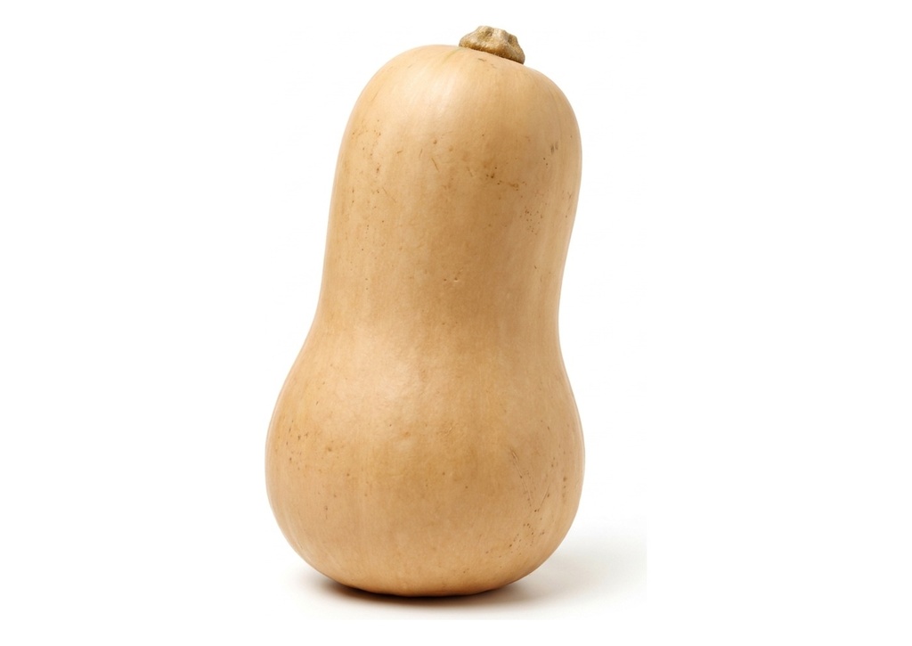 Butternut Squash