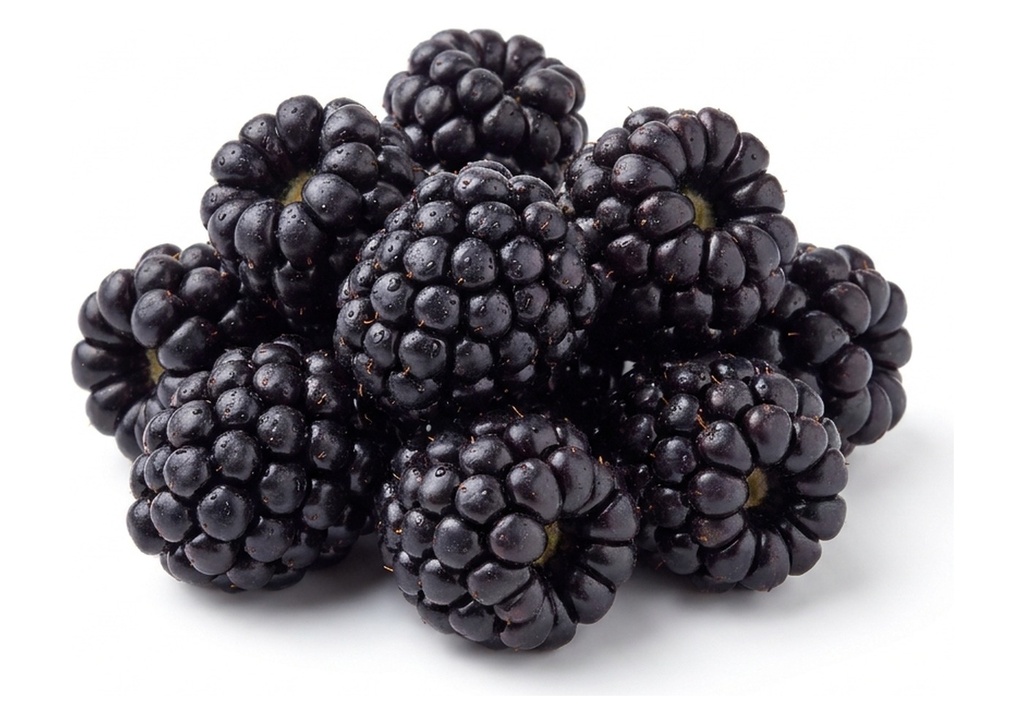 Organic Blackberries - Case Only, 12 Count