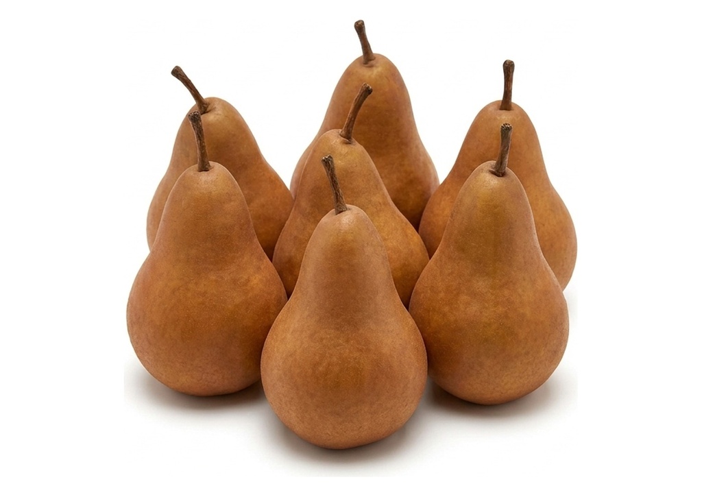 Bosc Pears - Case Only, 100 Count