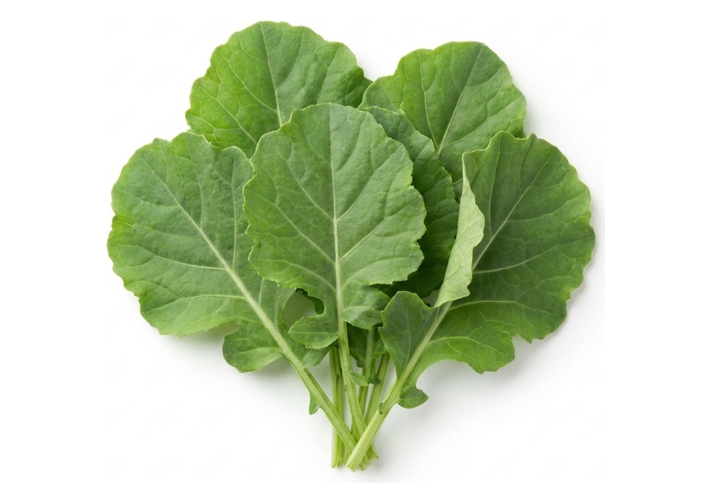 Baby Green Kale - Case Only, 48 Count