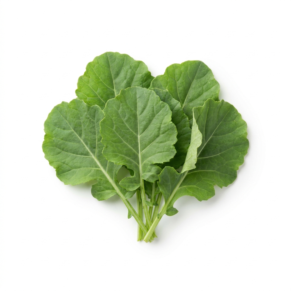 Kale Baby Green Kale