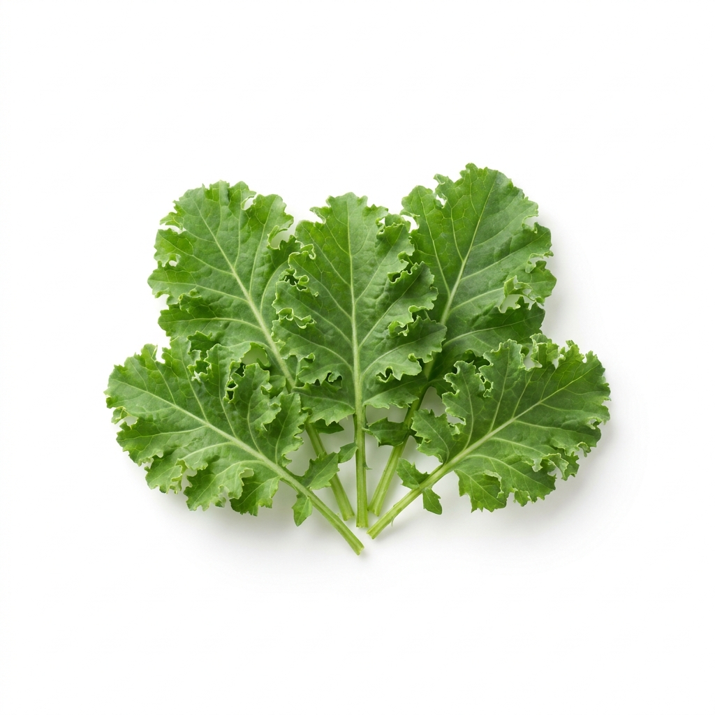 Organic Baby Kale - Case Only, 48 Count