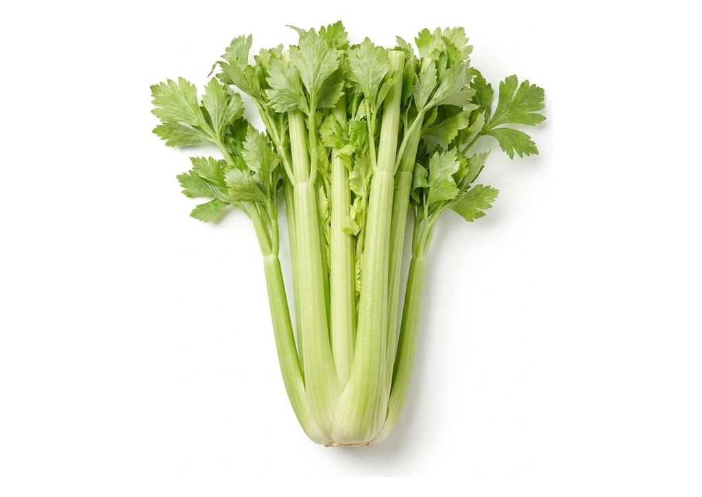 Celery - Case Only, 24 Count