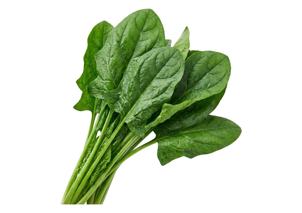 Spinach - Case Only, 24 Count