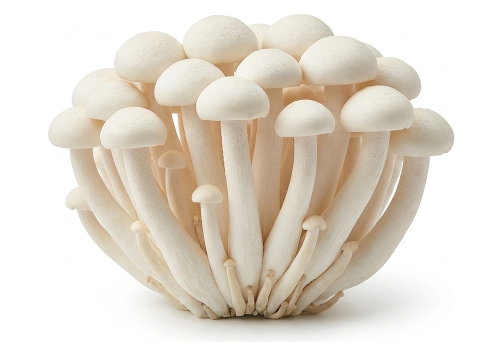 White Beech Mushrooms - Case Only, 40 Count