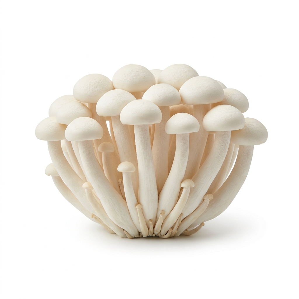 White Beech Mushrooms