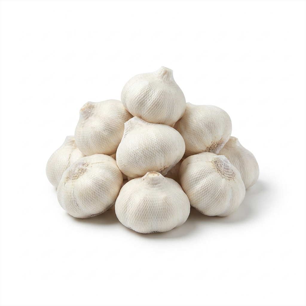 Garlic