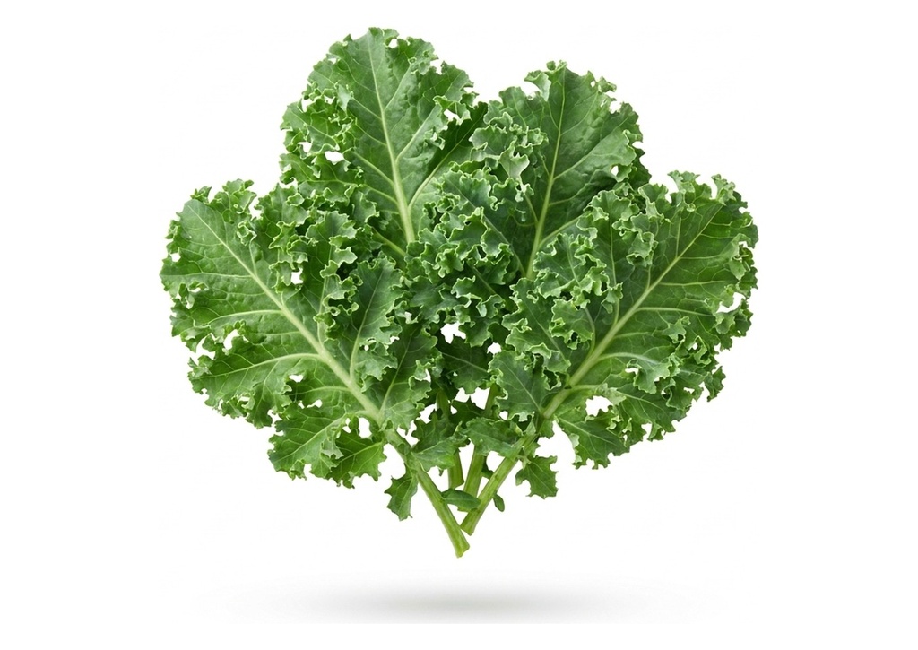 Organic Kale - Case Only, 24 Count