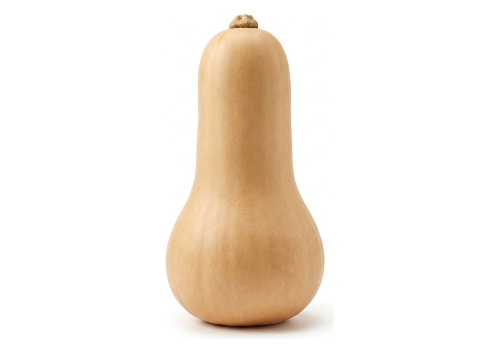 Butternut Squash