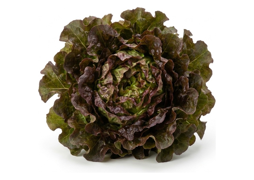 Red Leaf Lettuce - Case Only, 12 Count