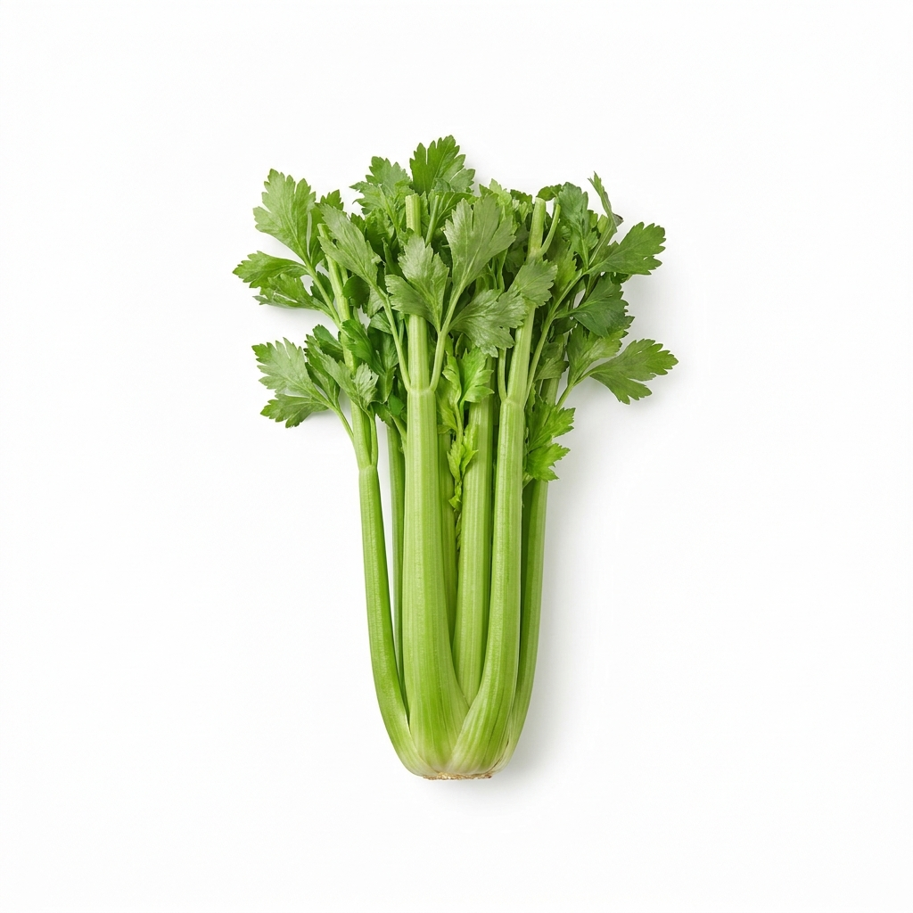 Sleeved Dole Celery