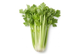 Celery