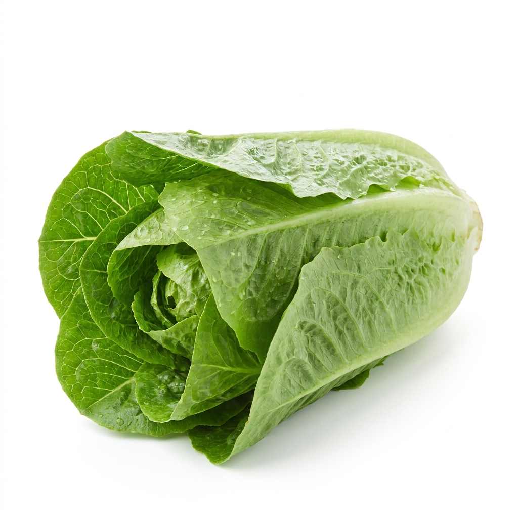 Romaine