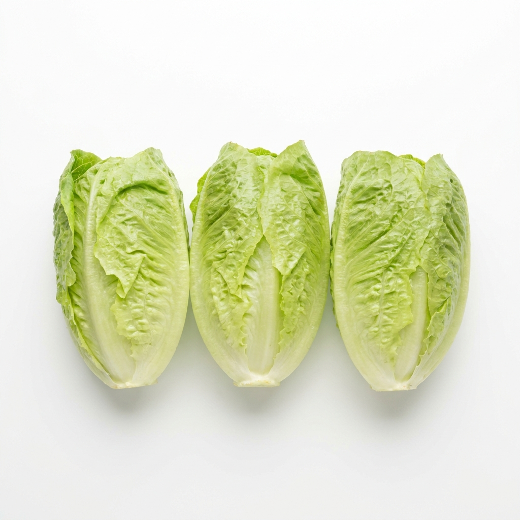 Romaine Hearts