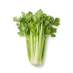 Celery
