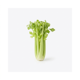 Organic Celery Hearts