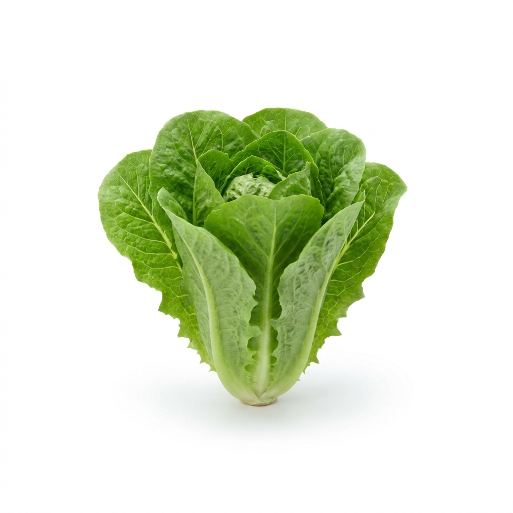 Organic Romaine