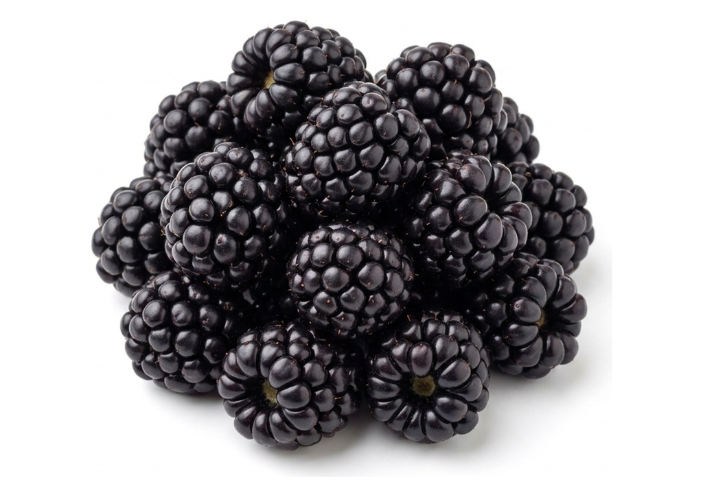 Sweetest Batc Blackberries - Case Only, 12 Count