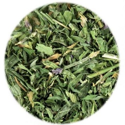 Alfalfa Leaf