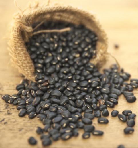 Black Turtle Beans