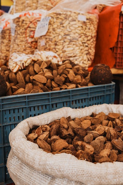 Brazil Nuts