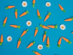 Carrots ORG