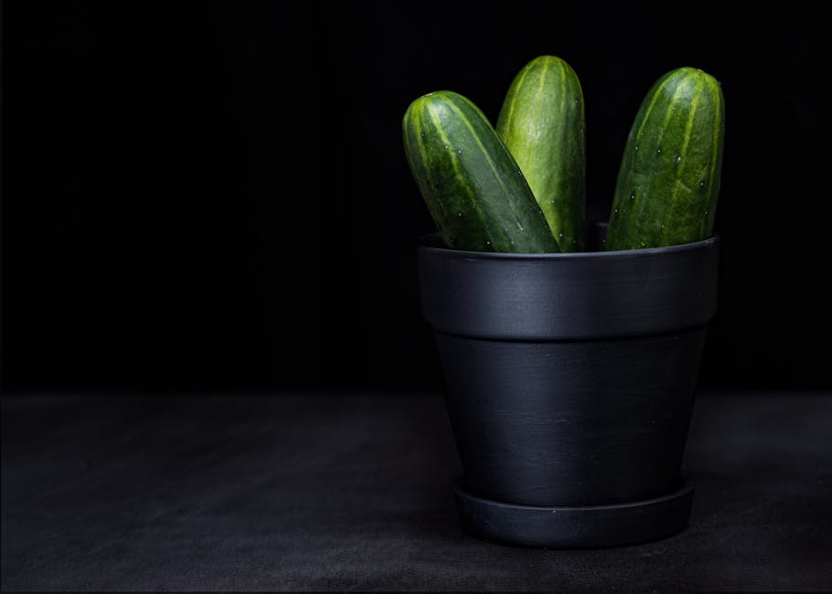 Cucumber Non ORG