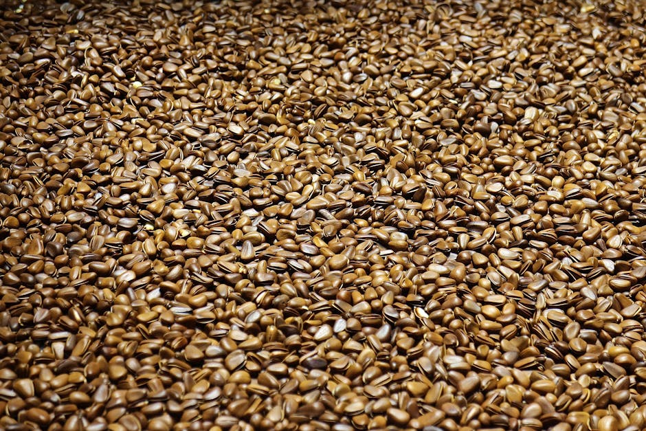 Flax Seeds