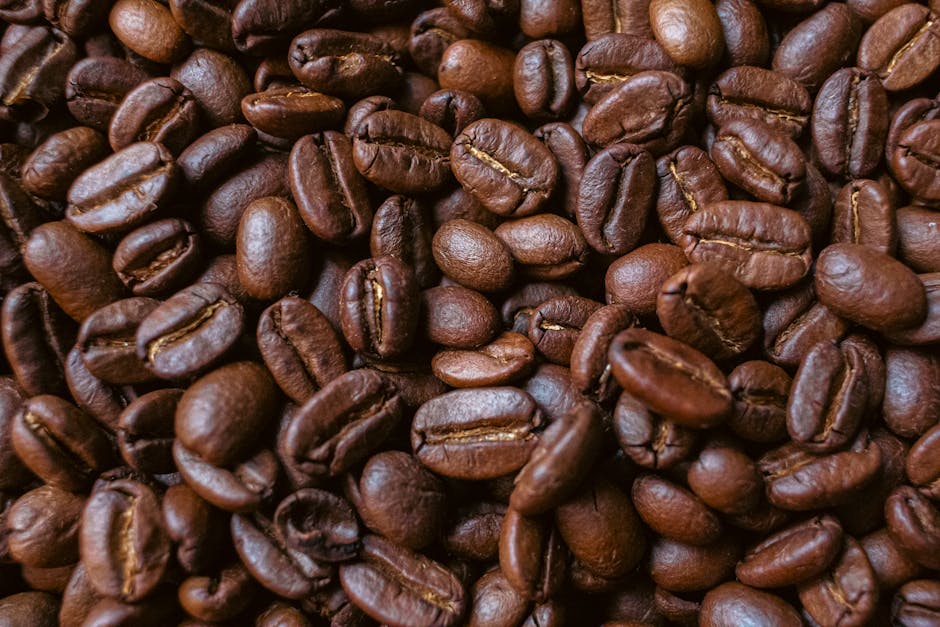 Grown Great Northern Beans