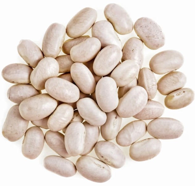 Grown Great Northern Beans