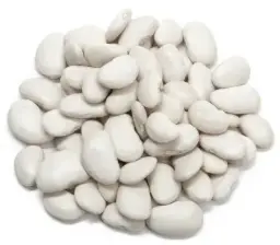 Grown Great Northern Beans