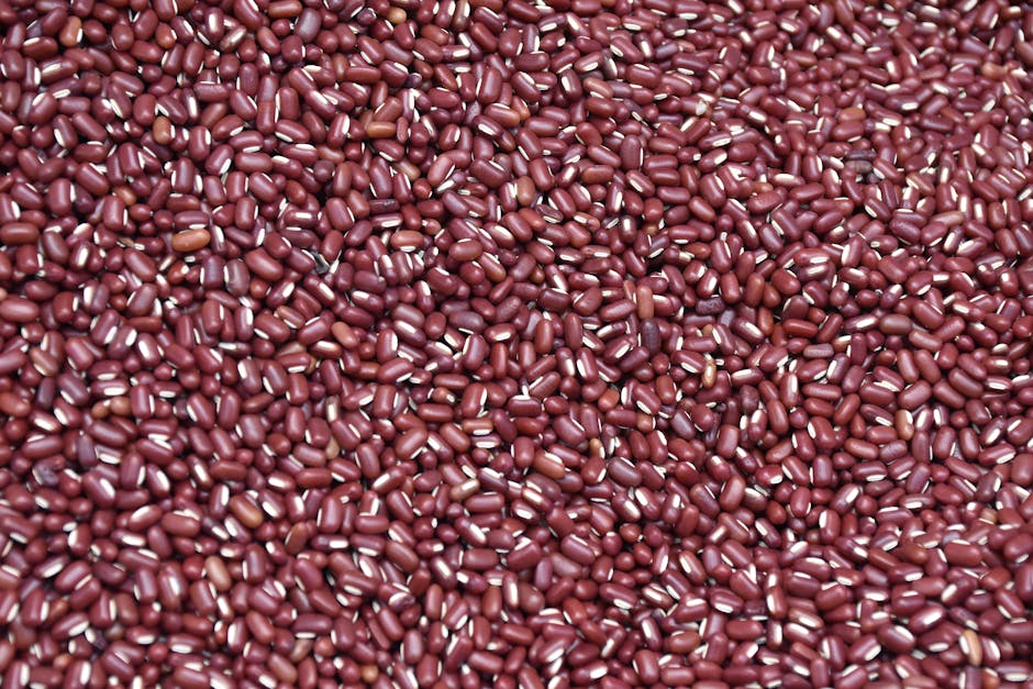 Kidney Beans 