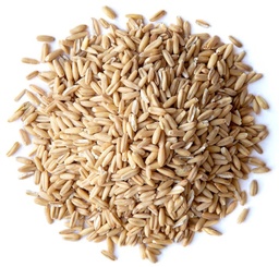 Oat Berries