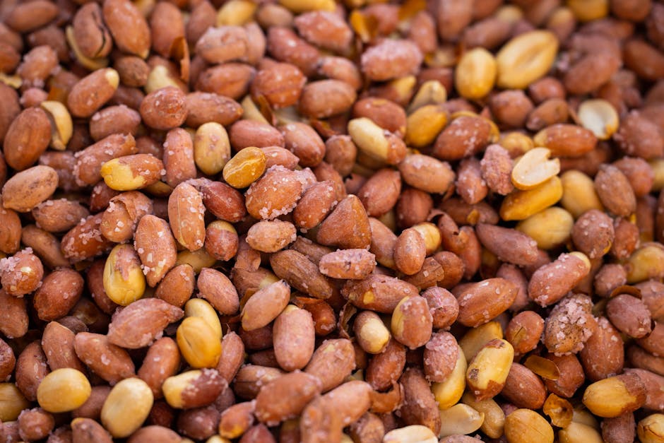 Peanuts Blanched Roasted No Salt 