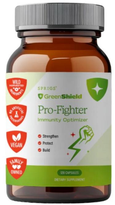 Pro-Fighter